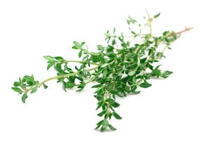 انواع آویشن خشک عالی و ممتاز